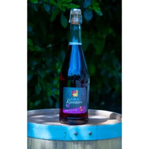 Bulles de raisin-Vignoble de la Mulonnière-Vins Coteaux du Layon-Crémant de Loire-jus de raisin sans alcool-millésime-vin-carbernetd'Anjou-Sauvignon- vin AOC et IGP-Produits viticoles-Artisan vigneron-Maine-et-Loire