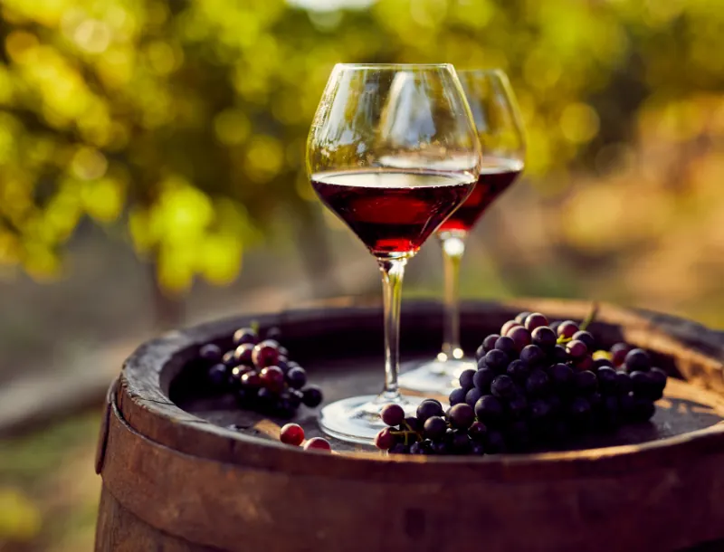 Tradition et-passion pour nos vins dexception,degustez les vins et petillants de notre domaine-Vignoble de la Mulonnière-Vins Coteaux du Layon-Crémant de Loire-jus de raisin sans alcool-millésime-vin-carbernetd'Anjou-Sauvignon- vin AOC et IGP-Produits viticoles-Artisan vigneron-Maine-et-Loire