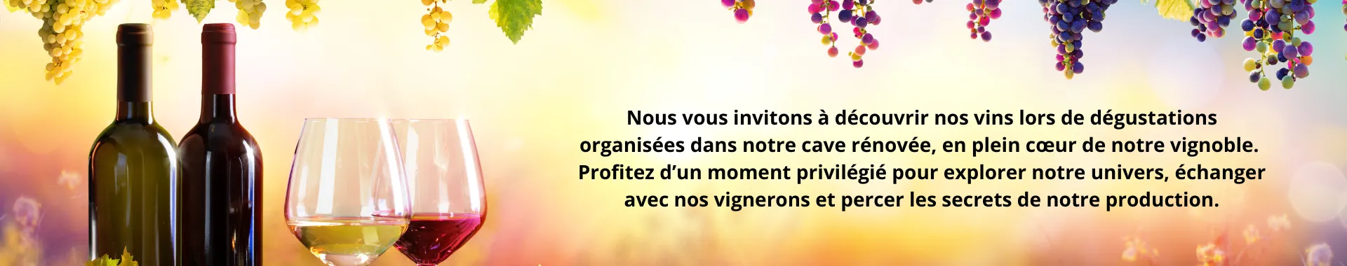 banniere degustation en cave ou sur place-Vignoble de la Mulonnière-Vins Coteaux du Layon-Crémant de Loire-jus de raisin sans alcool-millésime-vin-carbernetd'Anjou-Sauvignon- vin AOC et IGP-Produits viticoles-Artisan vigneron-Maine-et-Loire-2